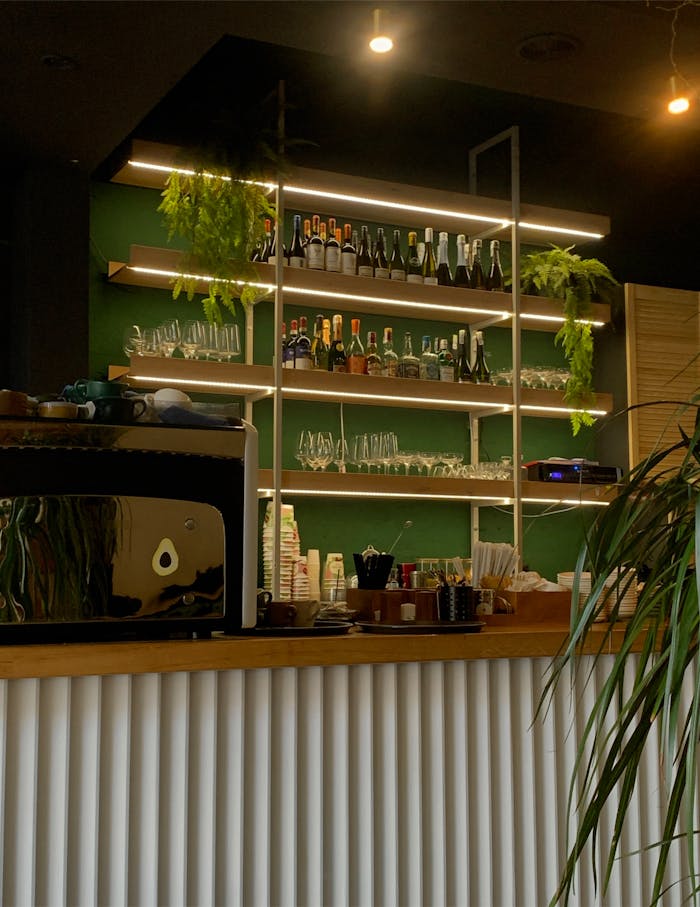 Stylish cafe interior featuring a well-stocked bar and green plants creating a cozy atmosphere.